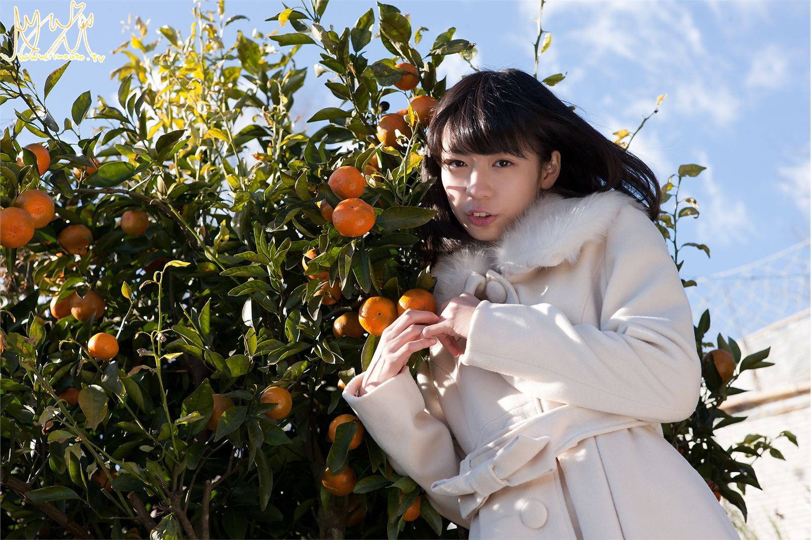 [Imouto.tv] 2013.02.01 牧原あゆ Ayu Makihara 日本MM